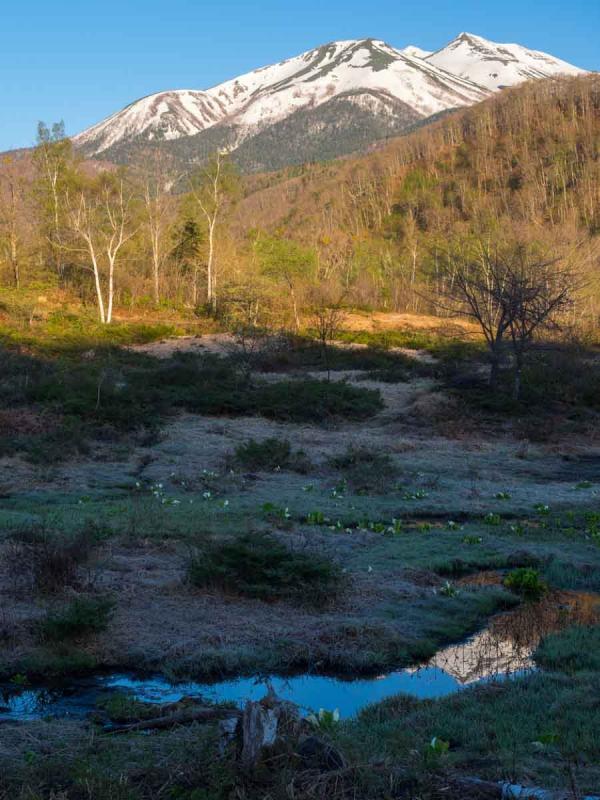 偲ぶの池と乗鞍岳(5月中旬)